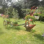Sonnenblume Mit Sauna Daun