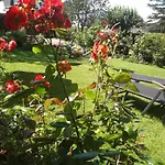 Sonnenblume Mit Sauna Apartman Daun