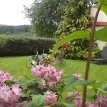 Sonnenblume Mit Sauna