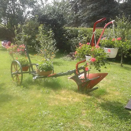 Fewo Sonnenblume Daun