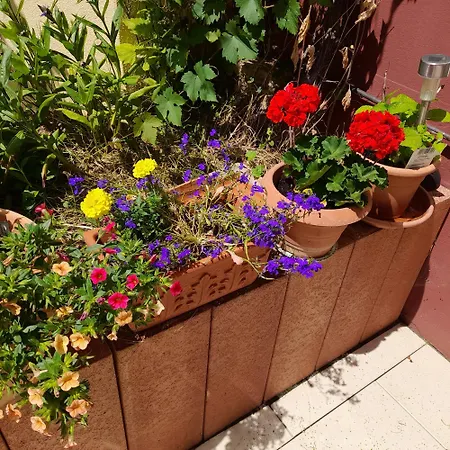 Fewo Sonnenblume * Daun