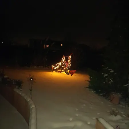 Fewo Sonnenblume Daun