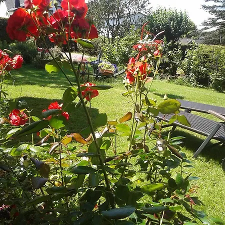 Sonnenblume Mit Sauna Apartamento Daun