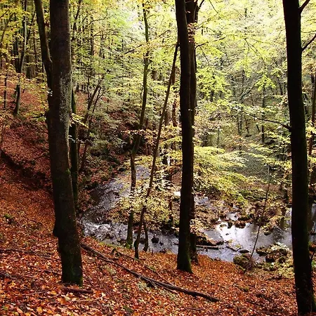 Daire Fewo Sonnenblume Daun