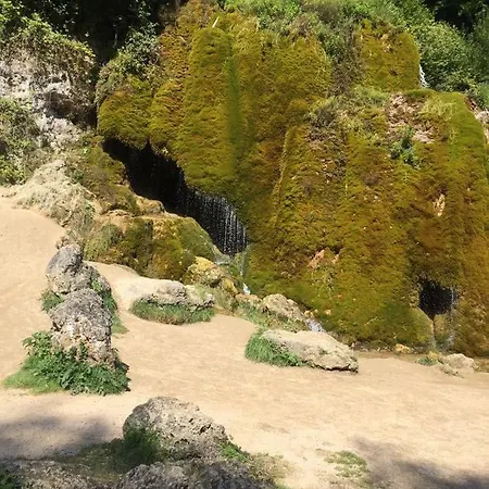 Fewo Sonnenblume Daire *