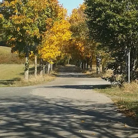 Fewo Sonnenblume * Daun