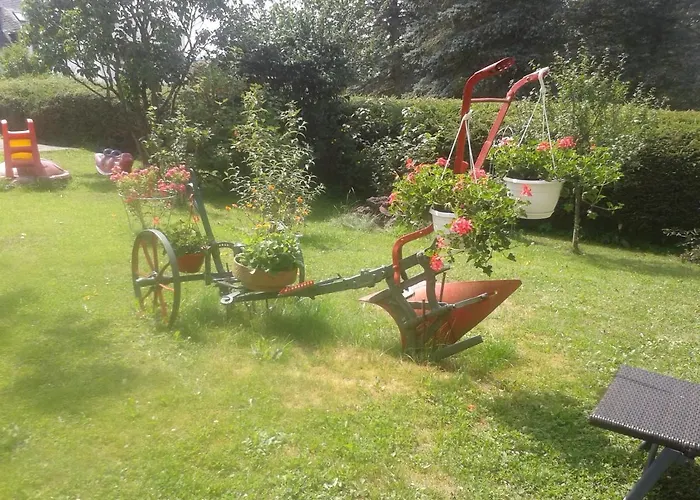 Sonnenblume Mit Sauna Daun