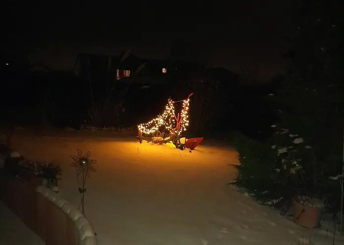 Fewo Sonnenblume Daun