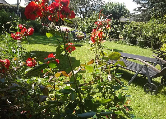 Sonnenblume Mit Sauna Lejlighed Daun