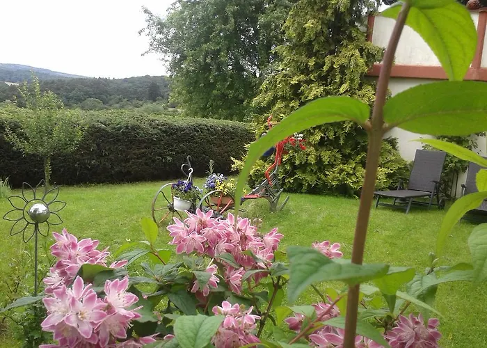 Sonnenblume Mit Sauna