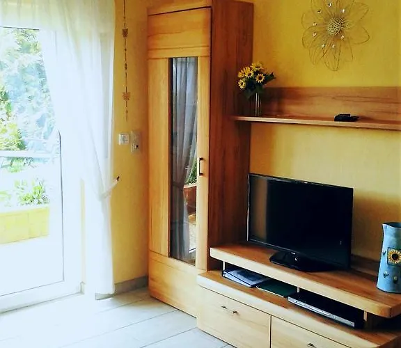 Sonnenblume Mit Sauna