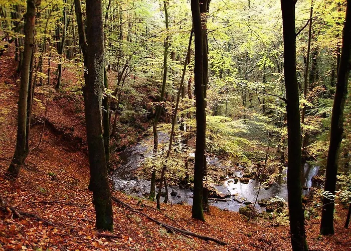 Lejlighed Sonnenblume Mit Sauna Daun