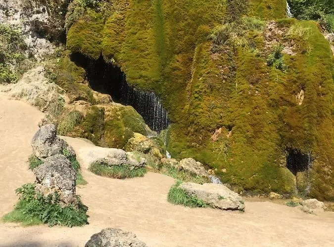 Sonnenblume Mit Sauna Apartment *