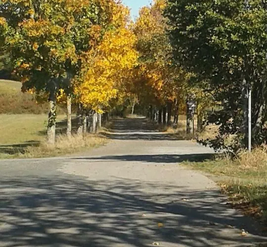 Sonnenblume Mit Sauna * Daun